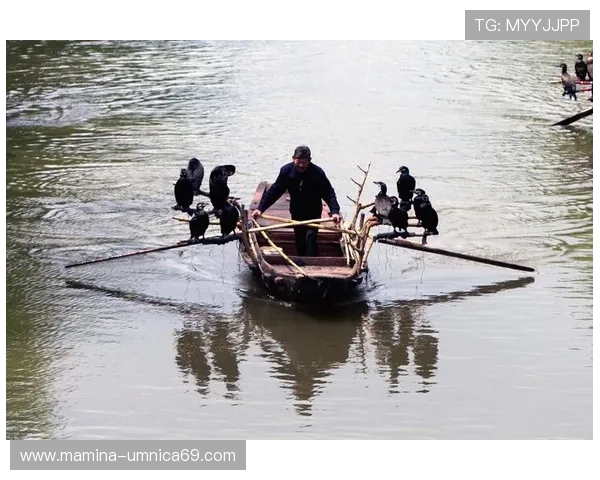 PA捕鱼图最新玩法揭秘让你轻松掌握捕鱼技巧提升获胜率