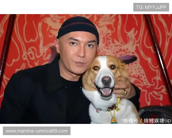 尊龙凯发 人生就是在搏 官方网站探索人生的真谛与搏击精神的完美结合