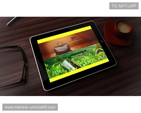 凯发娱乐网址登录线路设备兼容性分析，确保多平台无缝登录体验