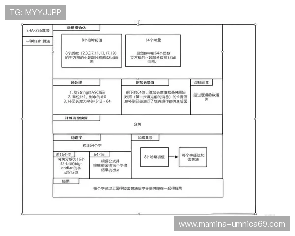 全面解析K8.com凯发登录入口的注册流程与账号安全保障措施