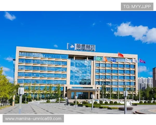 凯发k8国际一触即发,最新优惠活动与注册流程详细指南