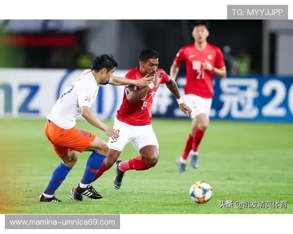 凯发体育平台用户评价与口碑分析帮助新用户选择可信赖的游戏平台